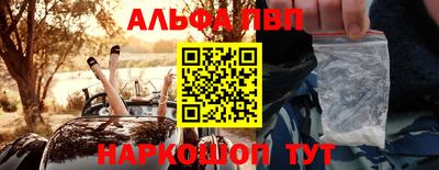 гашик Донской