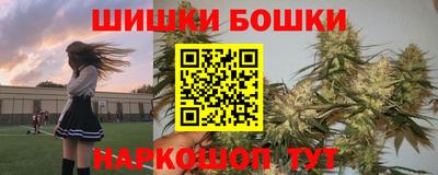 гашик Донской